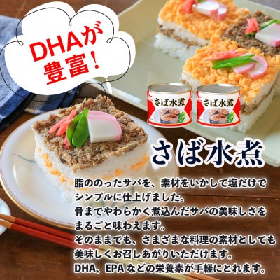 マルハニチロ さば水煮(国産)缶詰 190g×12缶 ふるさと納税