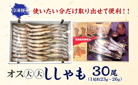 ししゃも魚貝類オス大大干物北海道産ししゃも【30尾】