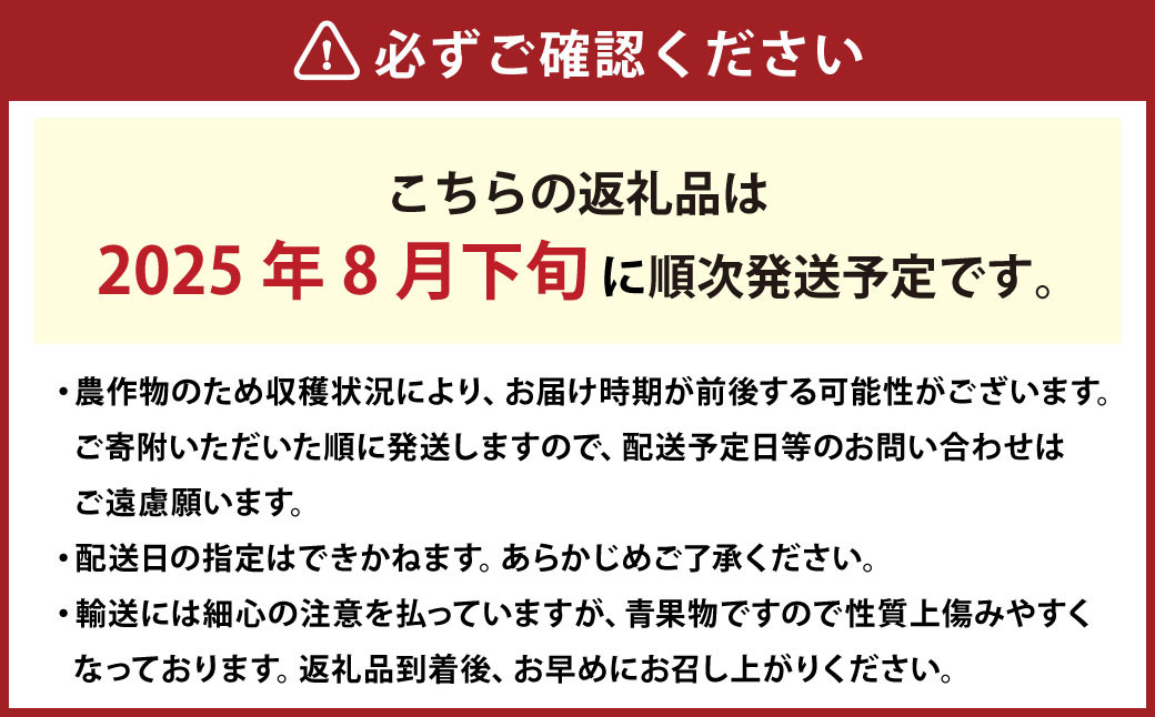 岡山白桃 晩生 ロイヤル 3玉 約800g 
