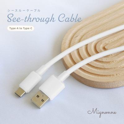 ふるさと納税 海老名市 USB Type-A to USB Type-C シリコンケーブル 1.2m ミスティホワイト