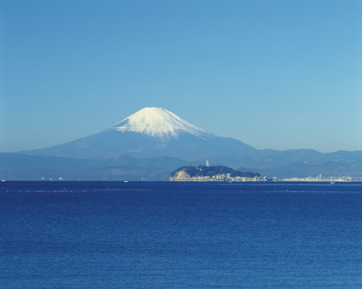 野菜セット 旬の湘南野菜おまかせ※10月1日以降のお申込みについては12月以降順次発送予定