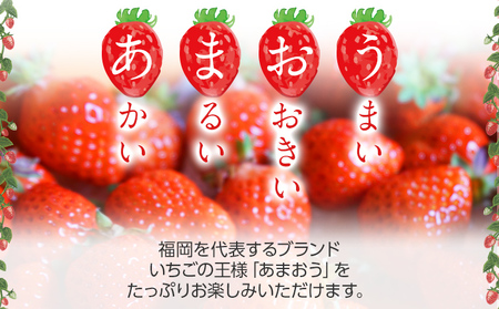 荒巻エコタロウ農園のちょっと小ぶりなたっぷりあまおう1,480g（約370g×4パック) 　中玉～小玉サイズ サイズ不揃い 【2026年2月~4月】BJ02