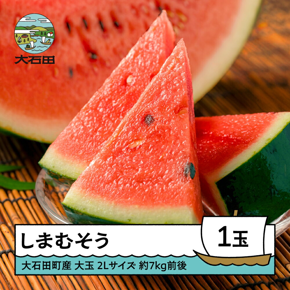 【ふるさと納税】すいか 大玉 2〜3L×1玉入り 2026年産 令和8年産 送料無料 スイカ 大石田町産 7月中旬から順次発送 gt-susmx2