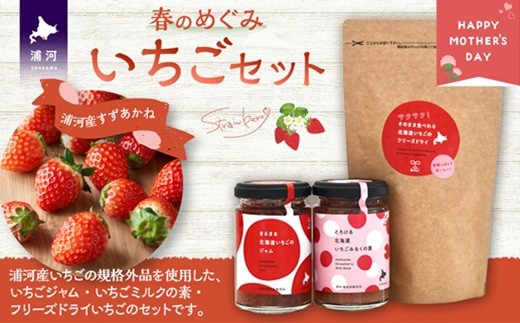 【母の日対応】食品ロスの削減をした「いちごジャム」と「いちごみるくの素」、「フリーズドライいちご」のセットです。
