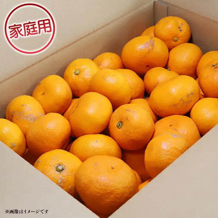 間城農園 甘い完熟みかん 寿太郎 (家庭用) 5kg【寿太郎みかん くだもの 柑橘 フルーツ】 ms-0087