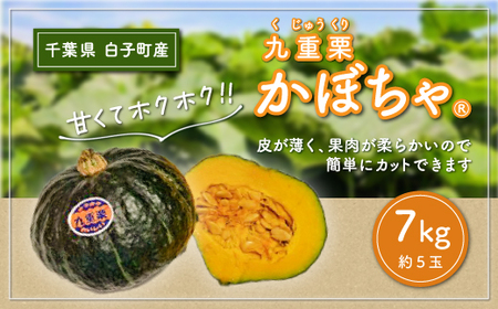 【令和８年の先行予約募集・数量限定】九重栗かぼちゃ 7kg SHI004