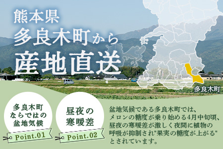 【2026年分 予約】 先行予約 グラバーメロン 3玉 (約3kg) 熊本県 多良木町産 フルーツ 果物 高糖度 甘い メロン ぐらばー めろん 熊本メロン 2026年4月中旬～発送開始