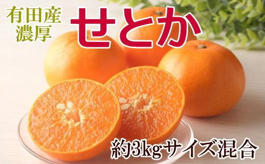 
                  一度は食べていただきたい「有田産のせとか」約3kg（サイズ混合）★2027年2月中旬頃より順次発送
                