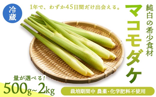 
                  マコモダケ 500g～2kg | 綾部市産 マコモダケ 栽培期間中農薬不使用 選べる容量
                