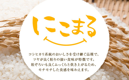 令和7年産 米 にこまる 約10kg (5kg×2袋) こめ コメ 白米 上田農園《30日以内に出荷予定(土日祝除く)》 熊本県 荒尾市 米 白米 こめ