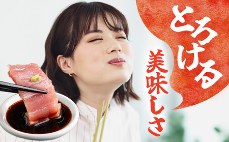 MT010 まぐろ 柵【冷凍】400g～500g