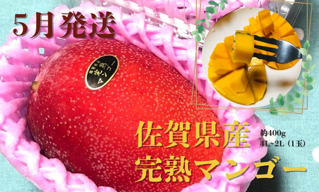 
            ＜5月発送＞佐賀県産マンゴー約400g 4L~2L (1玉)
          
