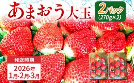 
            期間限定 いちご あまおう 苺 イチゴ 540g あまおう（大玉）、2パック（270g/パック）【2026年1月〜3月順次発送】 フルーツ 果物 くだもの 大玉 ※北海道・沖縄・離島は配送不可 大木町産 おおきベリー CT003
          