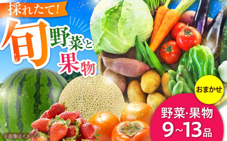 菊陽町特産品「 野菜 ・ 果物 などの詰め合わせ 野菜 果物 BHAK006