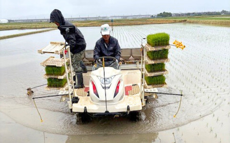 無洗米 先行予約 コシヒカリ 無洗米 5kg 無洗米 新潟県三条市産 令和7年産 無洗米 2025年産 無洗米