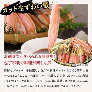 敦賀の豪華 海鮮福袋 8種【カニ むきえび ホタテ 魚介 詰め合わせ 】[024-e202(20)]