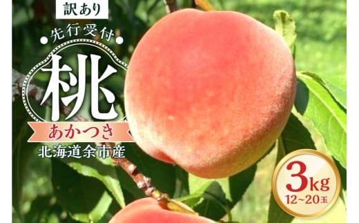 【2026年産 先行予約】＜北海道余市産＞訳アリ 桃「あかつき」3kg（12～20玉）