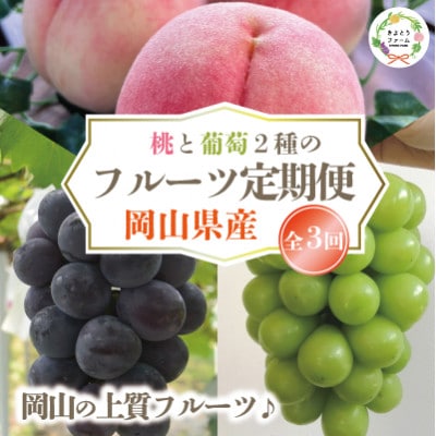 【発送月固定定期便】桃、ピオーネ、シャインマスカットの岡山フルーツ満足便 (岡山県産)全3回【配送不可地域：離島】