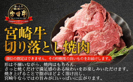 ＜訳あり 宮崎牛 切り落とし焼肉 合計600g＞入金確認後、14営業日以内に順次発送 【 焼肉用 焼き肉 やきにく 訳アリ品 わけあり A5等級 ランク 高級 お肉 和牛 黒毛和牛 ブランド牛 柔らか