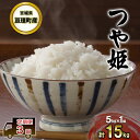 【ふるさと納税】令和6年産【定期便3回】宮城県亘理町産 つや姫 5kg×3ヶ月(計15kg) 食味ランキング「特A」　　定期便・お米・つや姫　お届け：2024年11月下旬から出荷開始