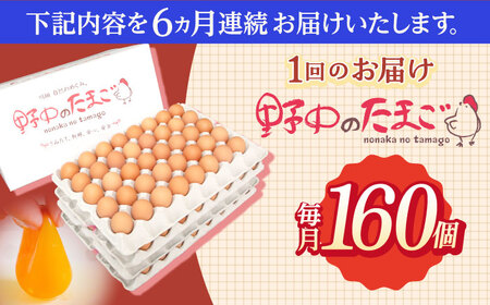 【6回定期便】産みたて新鮮たまご 野中のたまご 160個[OAC011]