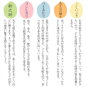 令和8年産　先行予約　上越市産みずほの輝き　5kg　新米　精米　新潟　米　新潟県　みずほの輝き　限定　おすすめ　米ヴィレッジさんわ