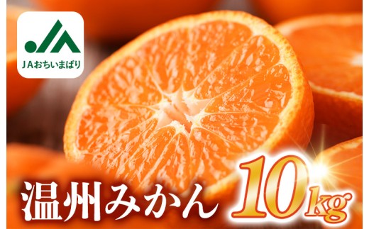 【先行予約】温州みかん 10kg [KC00760] 2026年11月下旬～12月下旬に順次発送予定 期間限定 ふるさと納税ミカン 温州ミカン 甘いみかん 愛媛みかん 果物 フルーツ ふるさと納税フルーツ 愛媛ふるさと納税 愛媛県ふるさと納税 JA