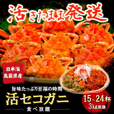【ふるさと納税】【新物とれたて】せこがに セイコガニ 活生 姿 約3kg 15～24枚 松葉ガニのメス 鳥取県【配送不可地域：離島・北海道・沖縄県・東北・信越、北陸】【1609700】
