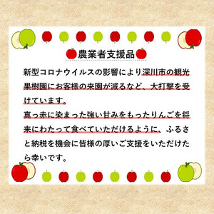 【令和7年産先行受付】北海道深川産りんご(つがる)10kg【ふるさと納税】【配送不可地域：離島】【1298286】