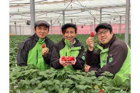 いちご『あまりん』(埼玉限定品種)「日本農業賞」大賞受賞の農園が生産