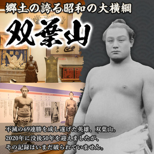 双葉山ポロシャツ・M(1点) シャツ 服 スポーツ トップス ネイビー オリジナル グッズ ファッション 男女兼用【115612101】【SFPコンサルティング】