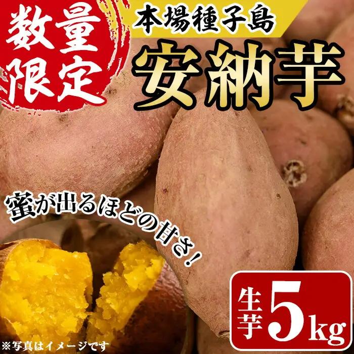 数量限定 安納芋 5kg 種子島 さつまいも 【あぐりの里】n078