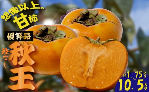 【2026年10月下旬-12月上旬発送予定】先行予約 福岡県産 博多秋王【優等品】 約7.0kg以上【約3.5kg以上(8玉-12玉入り) ×2箱】 先行予約 大人気 人気 たねなし 柿 かき フルーツ 果物 ギフト おすすめ カキ 秋の味覚 旬 甘い 大容量 福岡 九州 福岡県 川崎町 数量限定 期間限定