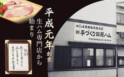 BSR-331 鹿児島県産黒豚ステーキハンバーグ10個入り