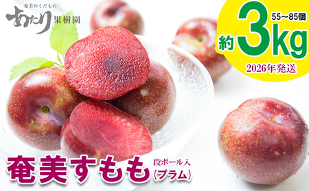 2026年発送【あたり果樹園】奄美大島産 すもも(プラム)約3kg 果物 フルーツ