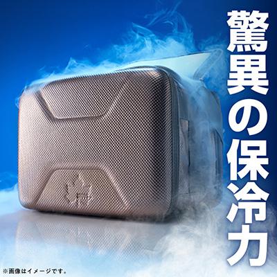 ふるさと納税 城陽市 ハイパー氷点下クーラーL　ロゴスのクーラーボックス キャンプ、買い物、車、防災にも　81670080 |  | 01