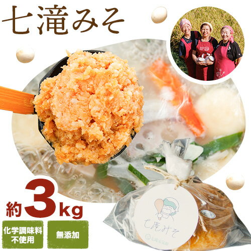 【ふるさと納税】みそ 味噌 七滝みそ 約3kg 七滝元気組 《30日以内に発送予定(土日祝除く)》熊本県 御船町 無添加 化学調味料不使用 調味料 味噌汁 みそ汁