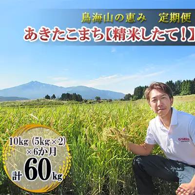 【先行予約】《定期便 6か月》 あきたこまち 10kg  精米 あきたこまち R8年産