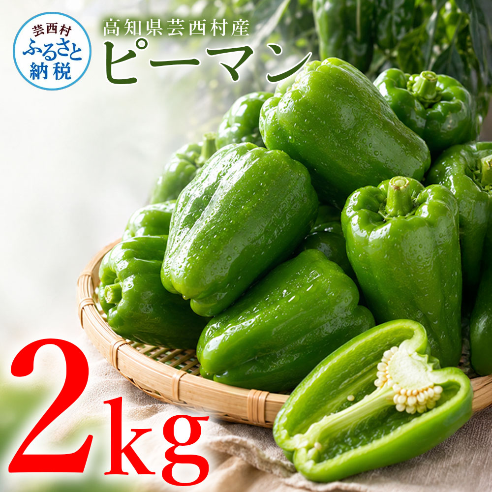 ピーマン 2kg P.SUKE（ピースケ）野菜 新鮮 みずみずしい 肉厚 料理 サラダ スティック野菜 野菜炒め 肉詰め 青椒肉絲 高知県 芸西村