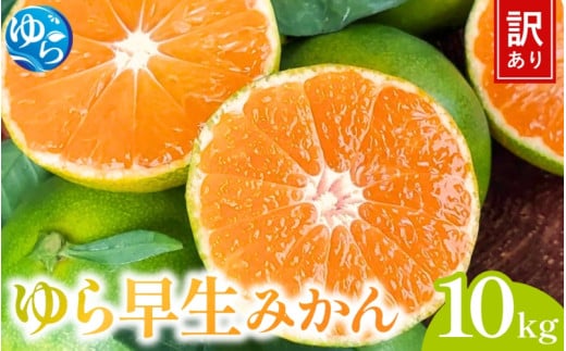 【先行予約】＼訳あり／ ゆら早生みかん 10kg 【2025年10月中旬～順次発送予定】/ みかん ミカン 和歌山県 柑橘 早生 甘い 蜜柑 フルーツ 果物 くだもの 食品  産地直送 由良町 ご家庭用 ゆら早生 早生みかん 【kwgc002】