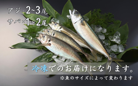 【鮮魚詰め合わせ】アジ・サバセット 脳締め アジ2-3尾 サバ1-2尾 鯵 あじ 鯖 さば 冷凍アジ・サバ 新鮮アジ・サバ 海鮮 大きい