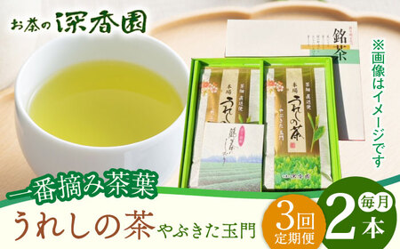 【3回定期便】一番摘み茶葉 うれしの茶 2本入（やぶきた 玉門 100g×2本） /お茶の深香園 [UAF007] お茶 緑茶 お茶 煎茶 茶