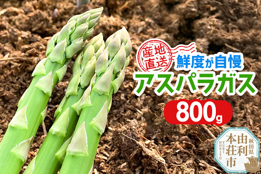 《先行受付》アスパラガス 800g 7月上旬〜8月下旬発送  [アスパラガス アスパラ 自社農園 栽培 鮮度抜群 ハウス栽培 茎まで柔らかい クセのない甘さ 産地直送 産直 素焼き 秋田 由利本荘市 だいち農園]