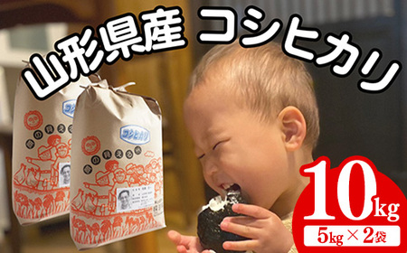 生産者の顔が見える米 コシヒカリ 白米 10kg（飯豊町産）(R7年産） - おこめ 米 ごはん 旨味 粘り こしひかり 単一米 銘柄 ブランド米 おすすめ 送料無料 マルシチ米穀 山形県 飯豊町【価格改定X】