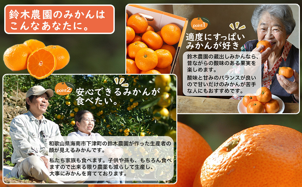 蔵出しみかん3kg SMLサイズお任せ【下津の蔵出しみかん】和歌山県鈴木農園より農園直送！｜蔵出しミカン 蔵出し蜜柑 蔵出しmikan 蔵出し下津みかん 蔵出ししもつみかん 蔵出し 冬眠みかん 贈答 