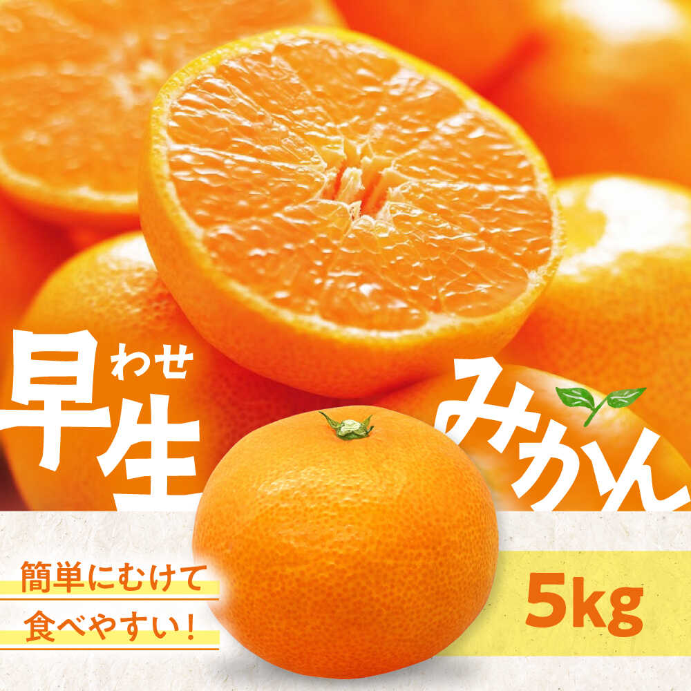 【ふるさと納税】【先行予約】【11月中旬から順次発送】温州みかん（早生） 5kg（S～Lサイズ混合） 大洲市/永沼農園[AGAW016] 先行予約 みかん ミカン 蜜柑 温州ミカン 温州みかん 果物 くだもの フルーツ 愛媛県産 大洲市産 産地直送 おすすめ 人気