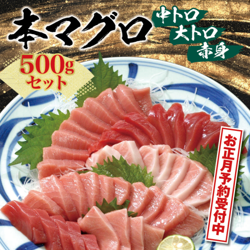 お正月に間に合う！【12月26日～30日発送】【串本町×北山村】本マグロ（養殖）トロ＆赤身セット500ｇ【nks110-sg】