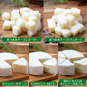 北海道よつ葉 チーズ10種セット 北海道 よつ葉 チーズ セット 10種 詰め合わせ ギフト 贈答用 乳製品 お取り寄せ グルメ F21P-1362