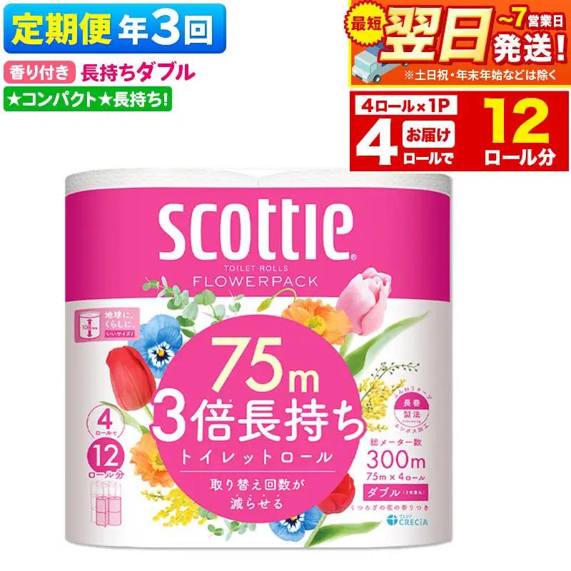 《4ヶ月ごとに3回お届け》定期便 スコッティ フラワーパック 3倍長持ち 4ロール(ダブル)×1パック 秋田市オリジナル 最短翌日発送