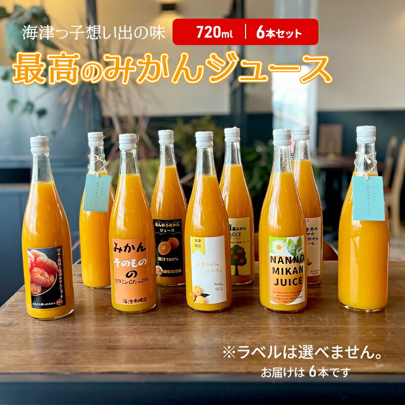 【ふるさと納税】海津っ子の想い出の味　最高のみかんジュース　6本セット　果汁飲料・野菜飲料・みかんジュース